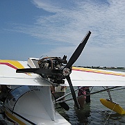Picture 008